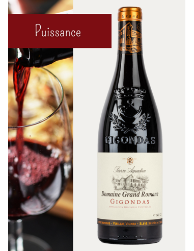 VRAC Gigondas Domaine Grand Romane 2022 - 11L